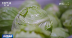 准虾滑、馄饨等午